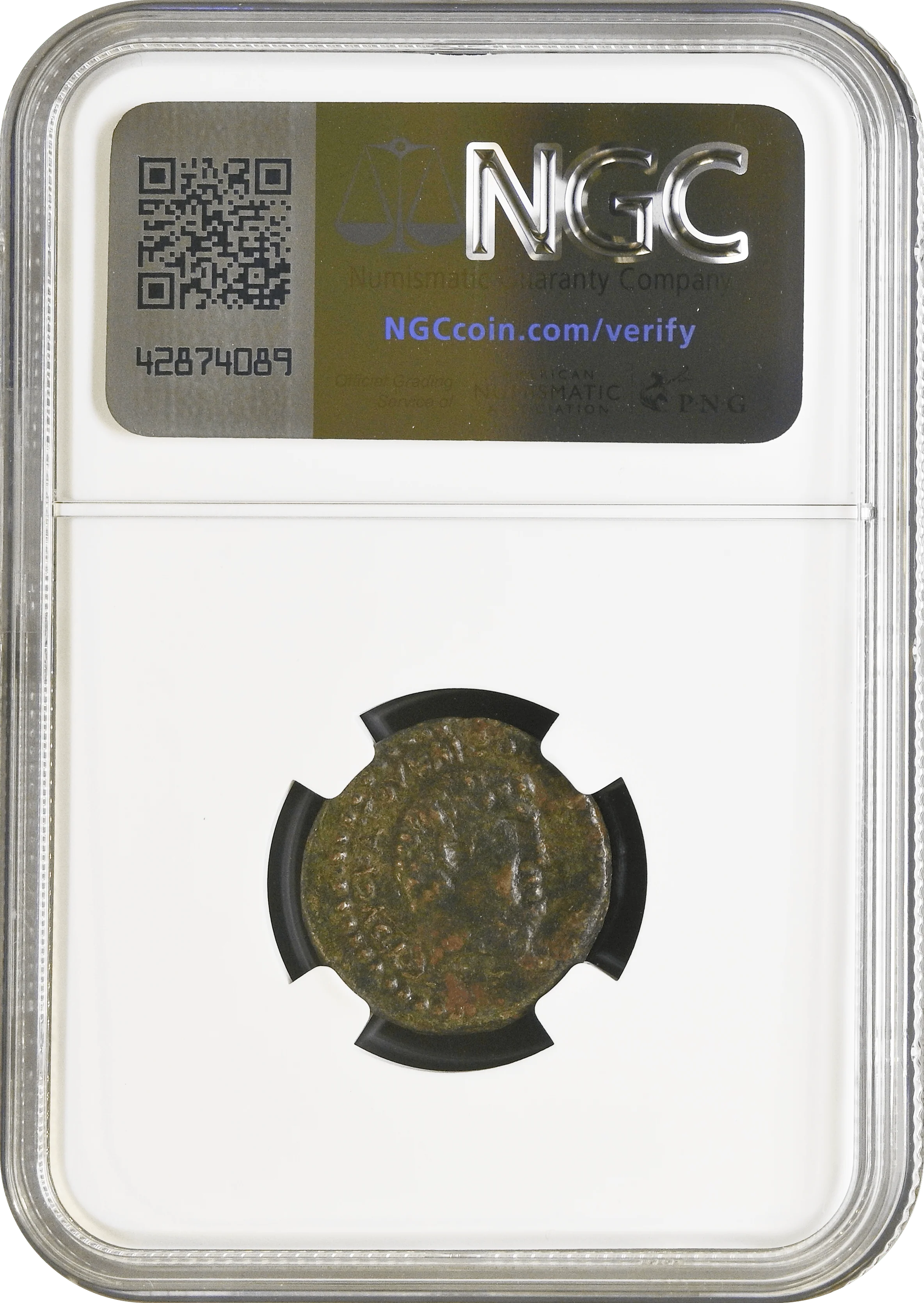 古代プトレマイオス朝 シリア ハルキス 紀元前32/1年 クレオパトラ7世 マルクスアントニウス AE20銅貨 NGC Ch VF Strike:3/5 Surface:3/5 - Image 2