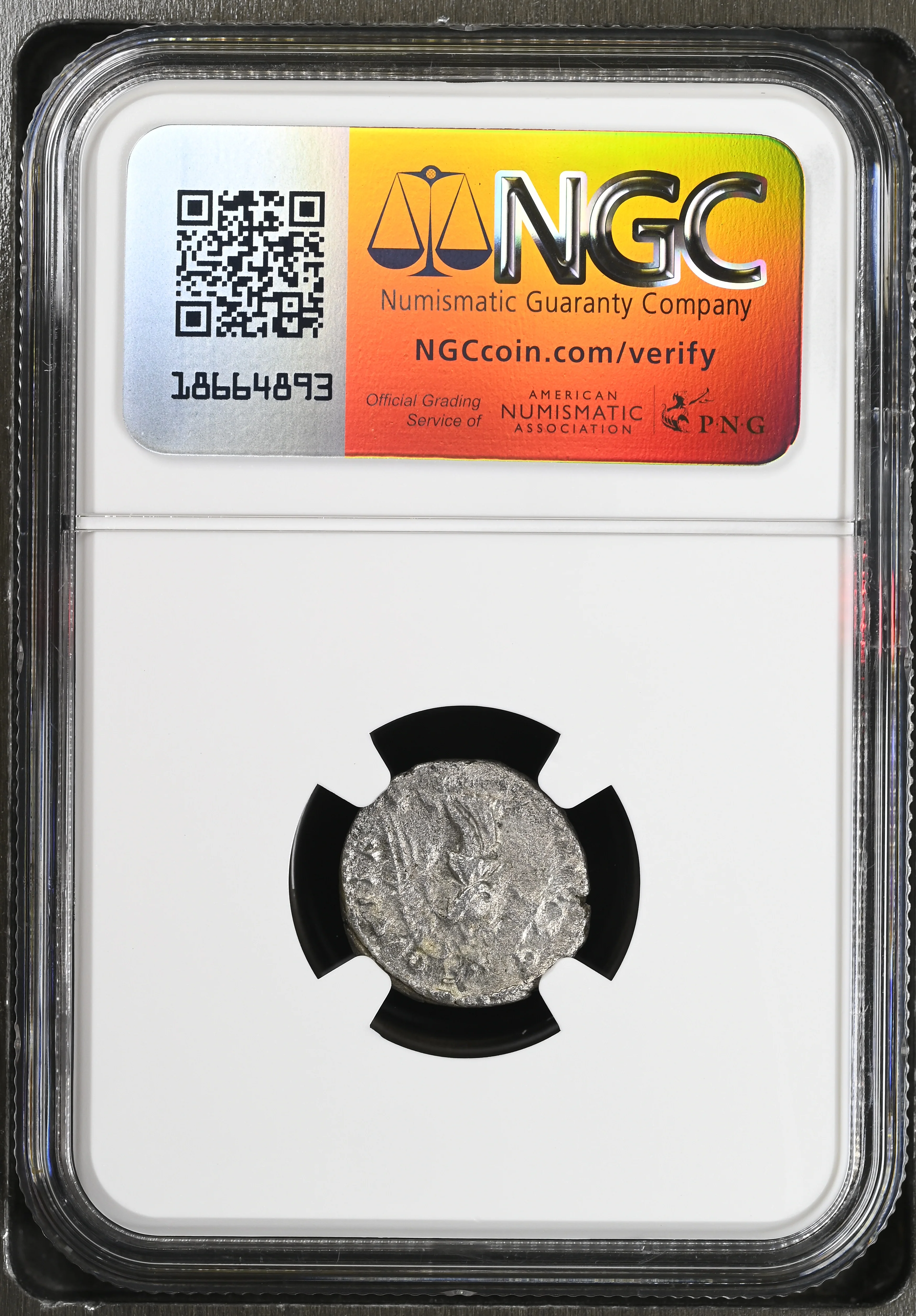 193-211年 ローマ帝国 セプティミウス・セウェルス デナリウス銀貨 NGC Ch VF - Image 2