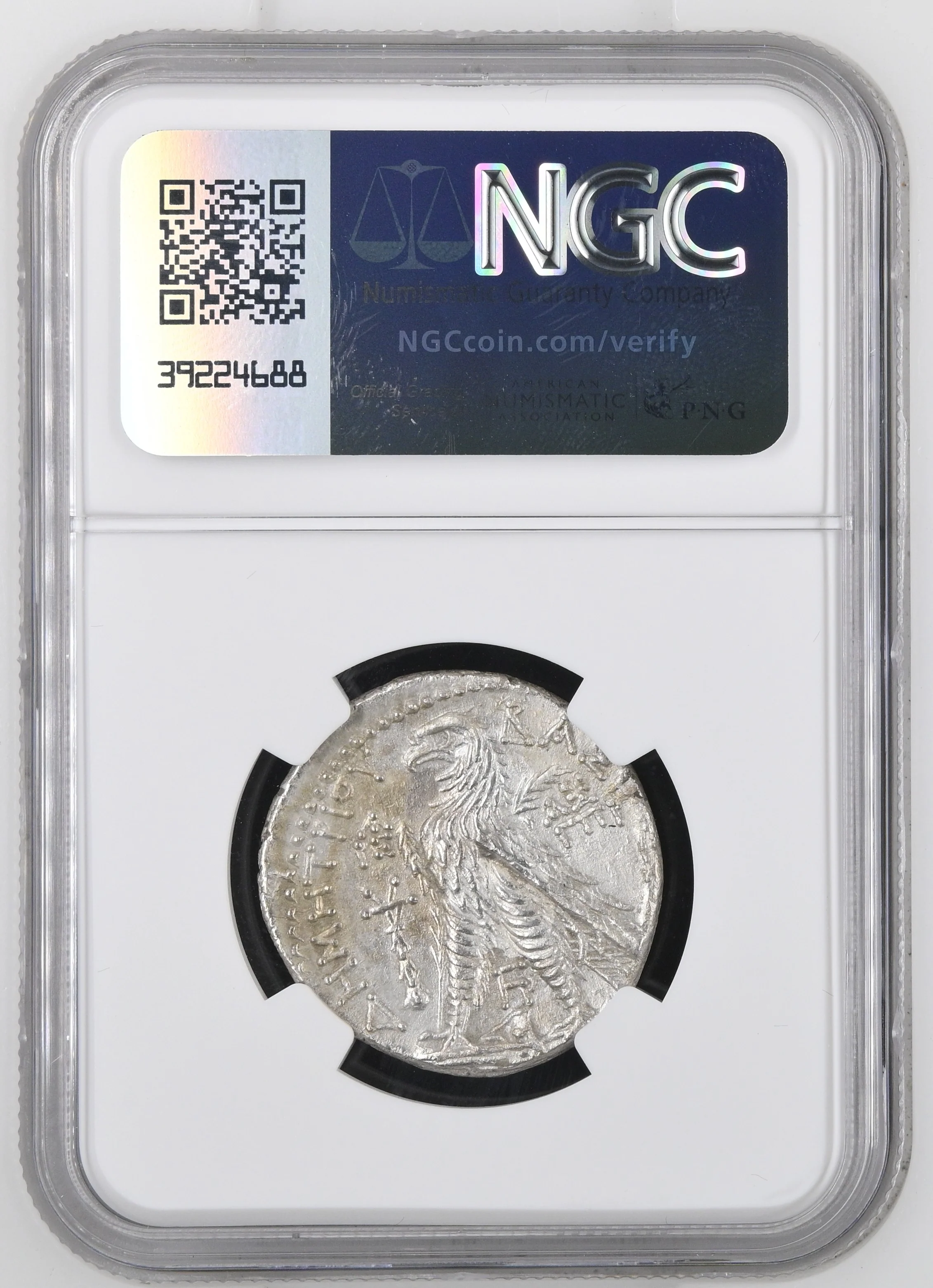 紀元前2世紀 古代 セレコウス朝 デメトリオス2世ニカトル  テトラドラクマ銀貨 NGC Ch AU 4/5 3/5 brushed - Image 2